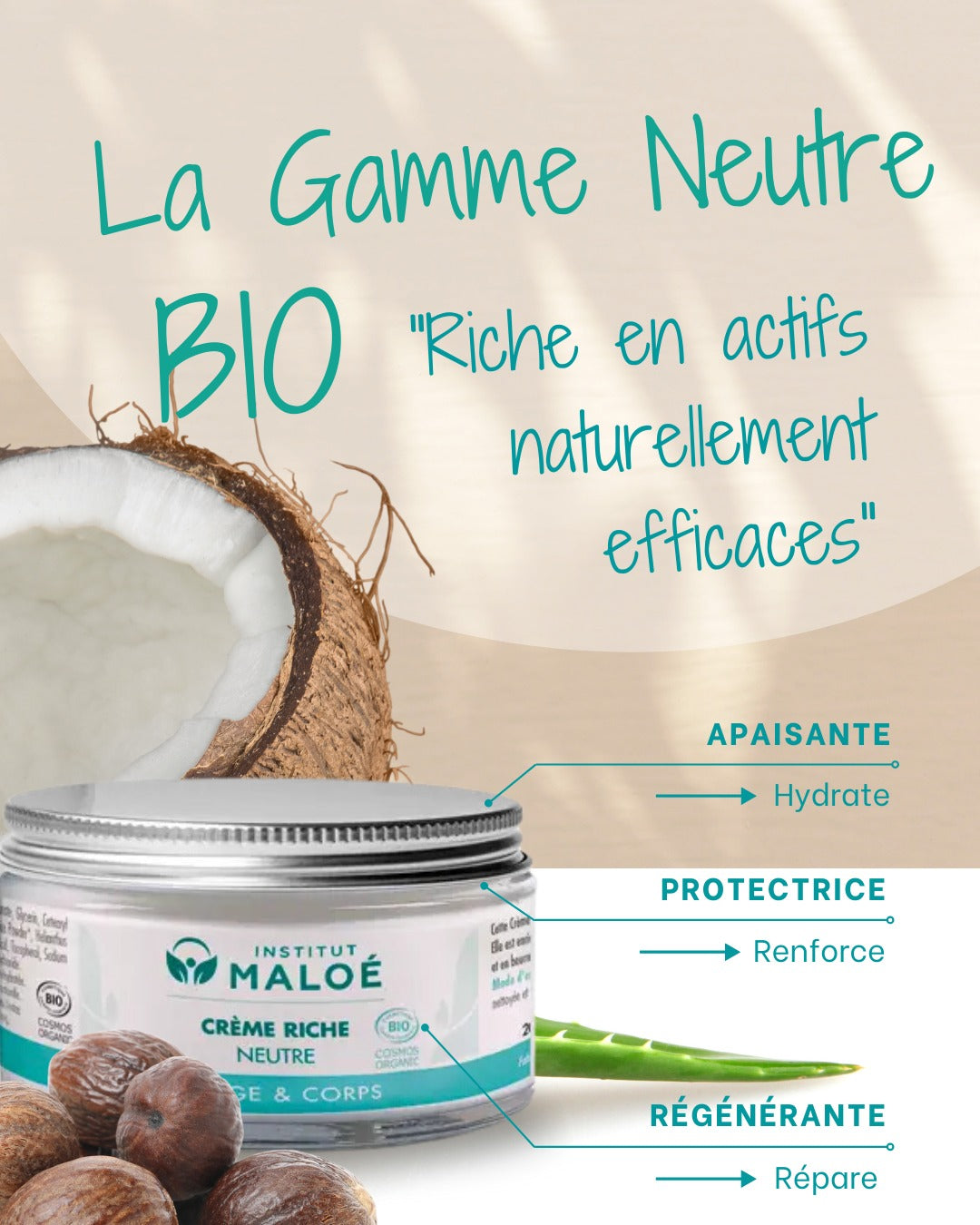 Crème Riche Neutre Visage & Corps BIO 150ml - Institut Maloé Chez Les Fées Bien-Être